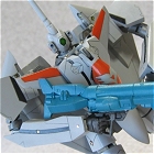X^WIEn[tEAC VF-11 THUNDER BOLT (T_[{g)